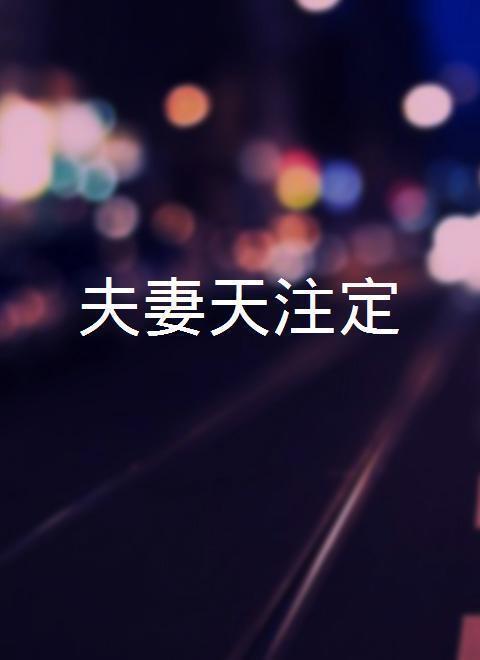 夫妻天注定 第97集