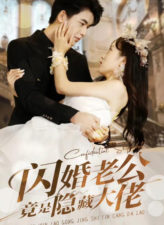 闪婚老公竟是隐藏大佬 第90集