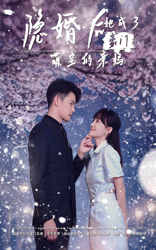 隐婚后，她成了豪门萌宝的亲妈 第02集