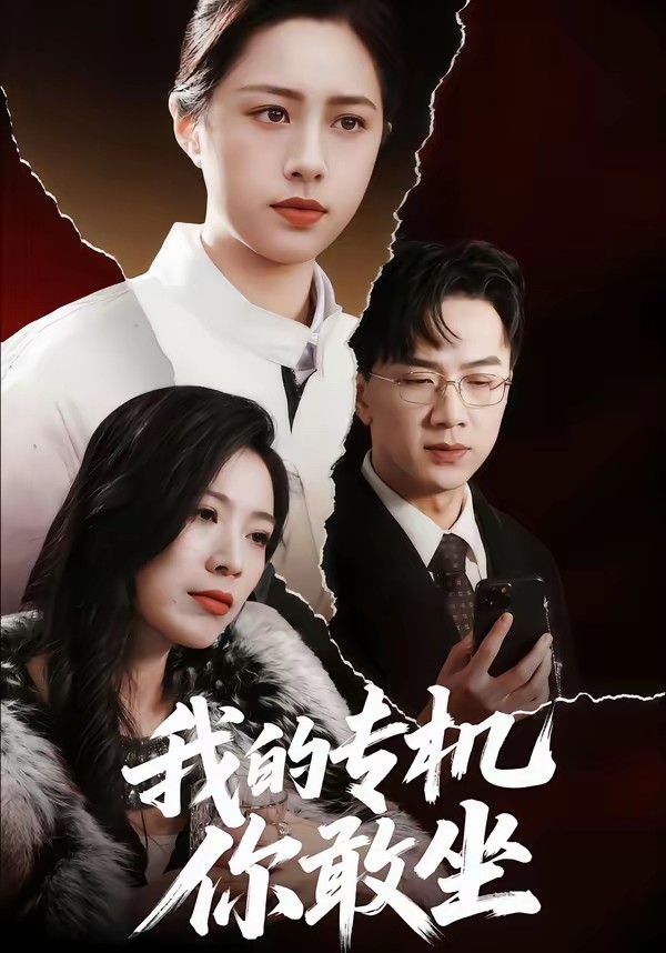 我的专机你敢坐(全集)