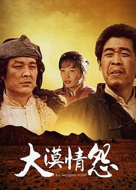 大漠情怨 第12集