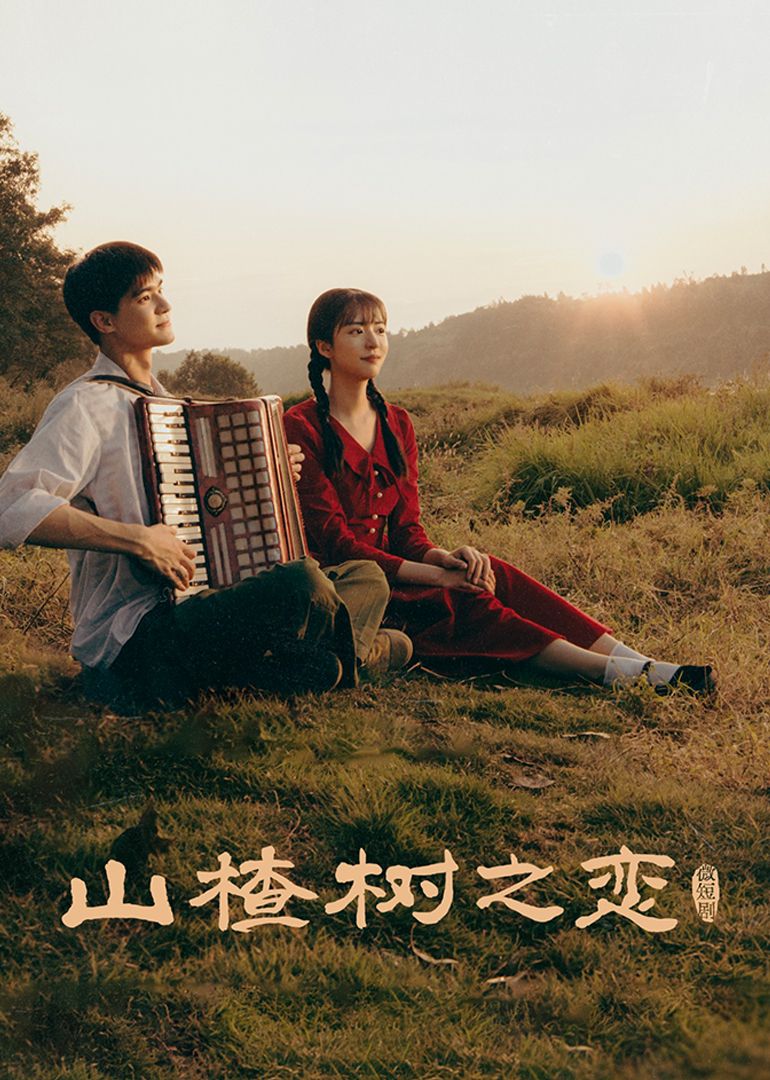 山楂树之恋 第13集